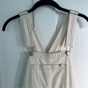 Everlane the canvas overalls